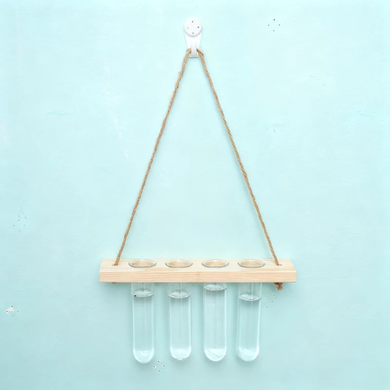 Multi-tube B-2 glass wall vase with mixed propagating plant cuttings on wall