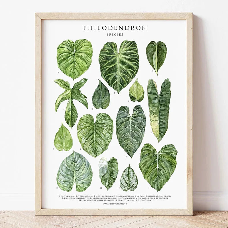 Green Botanical Houseplant Canvas Wall Art