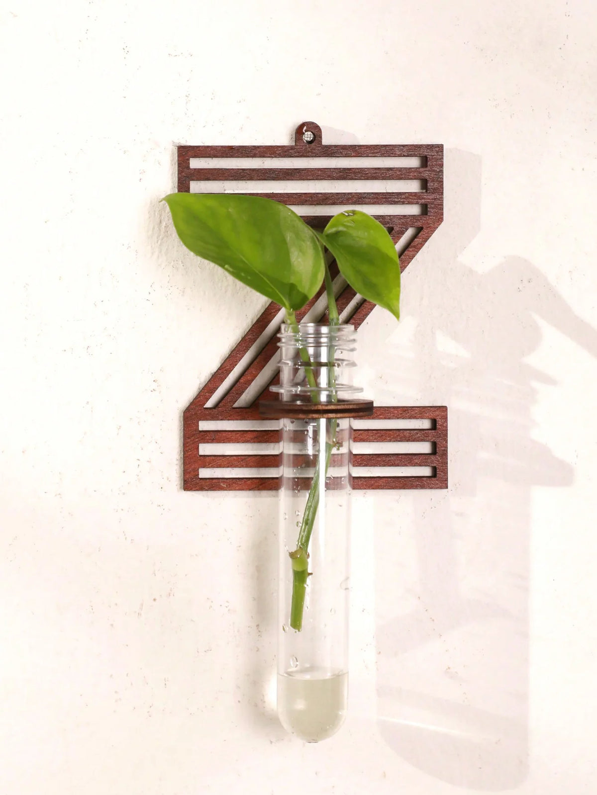 Letter C wooden propagation station with fresh cuttings in clear glass tubes