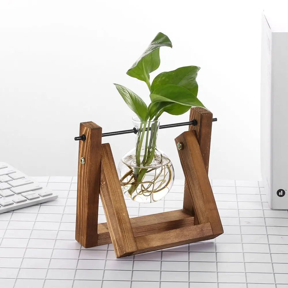 Four D-style wooden frame glass vase holders arranged on contemporary shelf