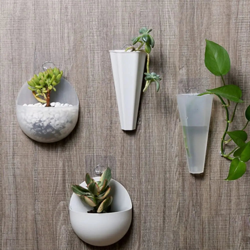 Clear conical acrylic wall hanging planter with small succulent plant inside