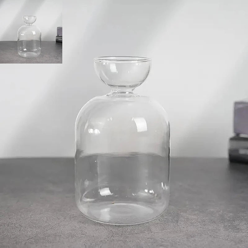 Multiple glass avocado seed vases showing different style options for indoor propagation