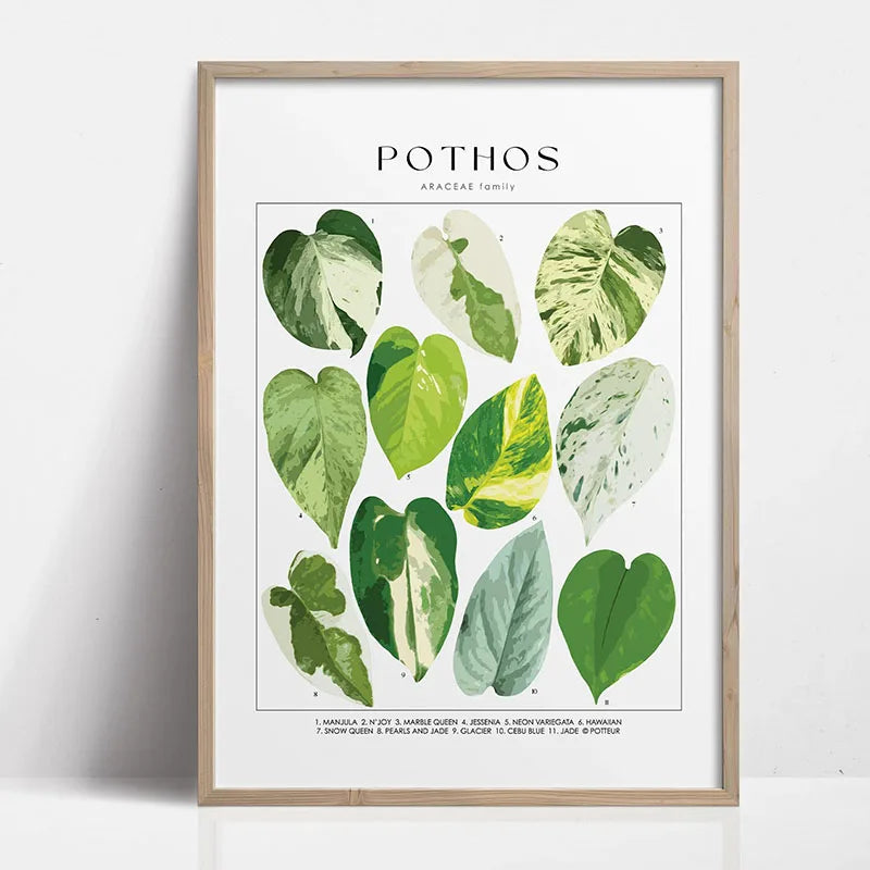 Green Botanical Houseplant Canvas Wall Art