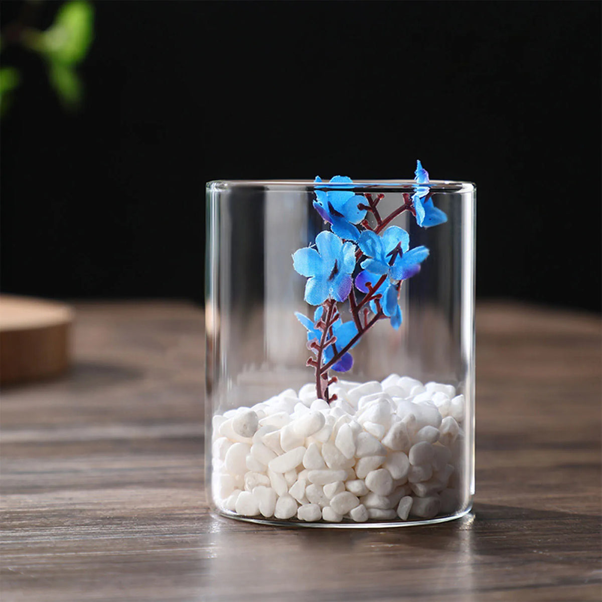 Small glass cylinder flower vase holding single white tulip on Scandi dining table