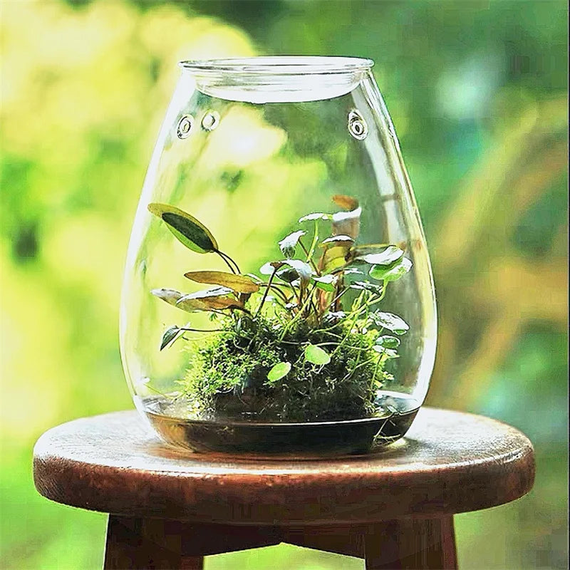 Sealed glass terrarium bottle with fresh green moss inside on desktop