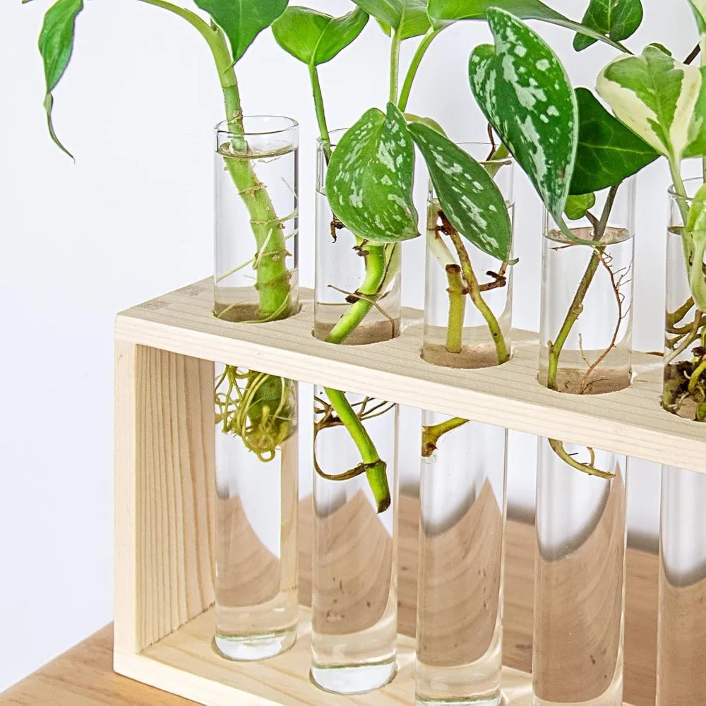 Desktop glass tube planter with four tubes on wooden stand for hydroponic use