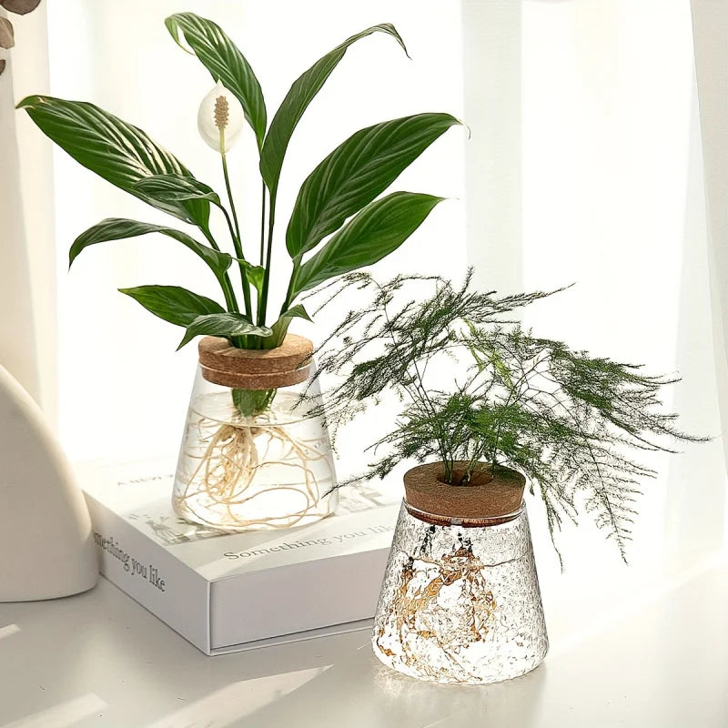 Glass hydroponic breeding station on home desk with green plant cuttings