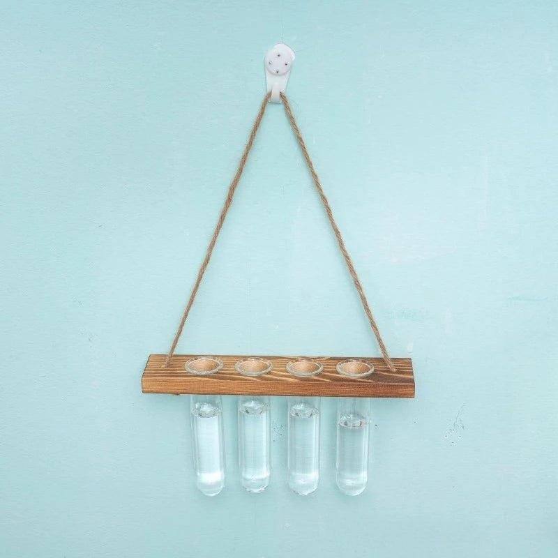 Overhead view of glass test tube vials in wooden plank wall-mounted frame rack