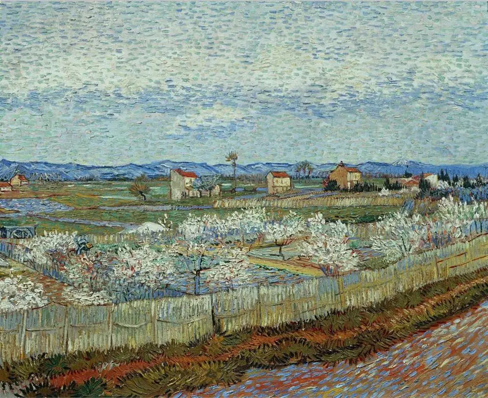 Van Gogh Cafe Terrace Framed Canvas Wall Art