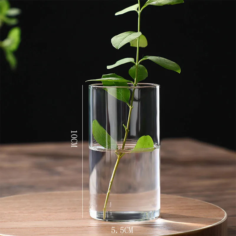 Clear Glass Cylinder Flower Vase