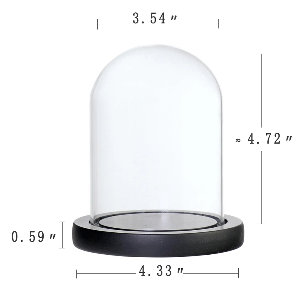 Micro landscape glass dome terrarium on minimalist shelf