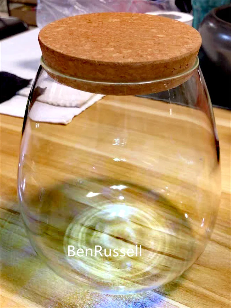 Large glass terrarium cork bottle with moss micro-landscape arrangement