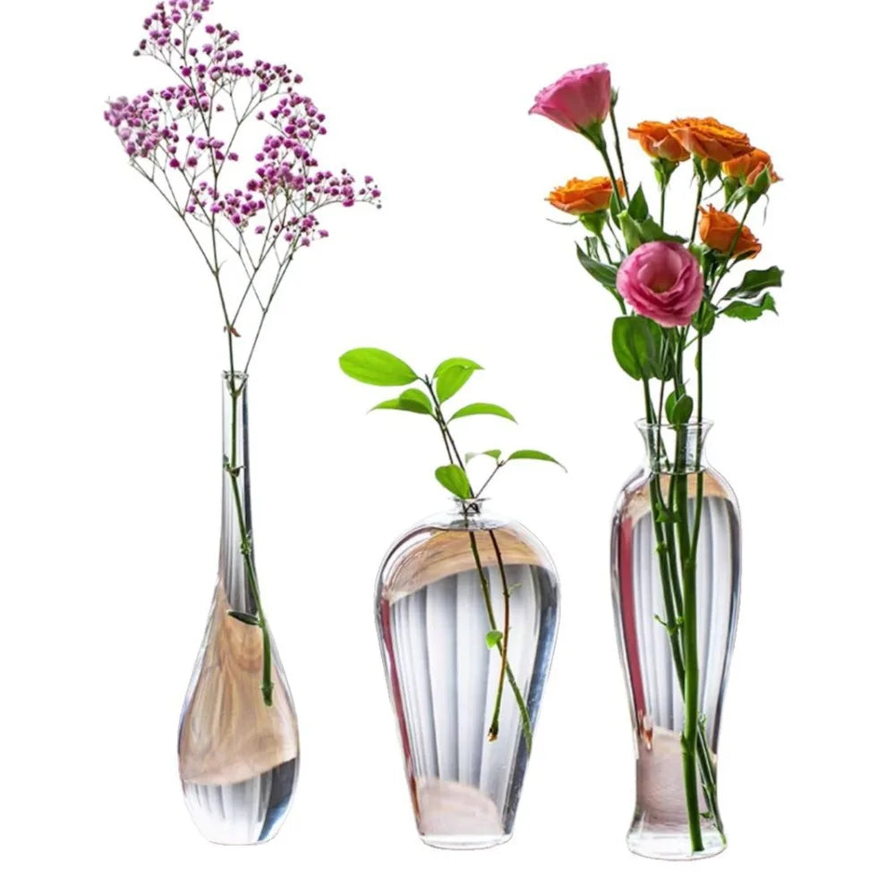 Chinese style transparent glass hydroponic vase table décor