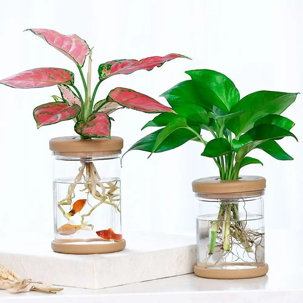 Simple transparent plastic hydroponic vase for fresh flowers on modern desk