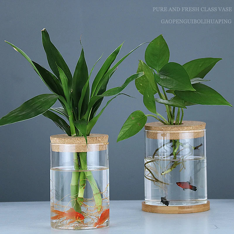 Transparent resin flower pot with green plant growing in water