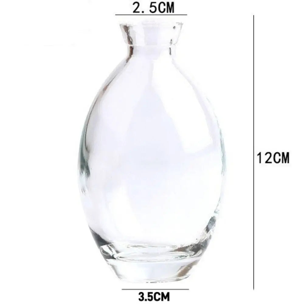 Side view of simple mini glass vase with hydroponic plant cutting