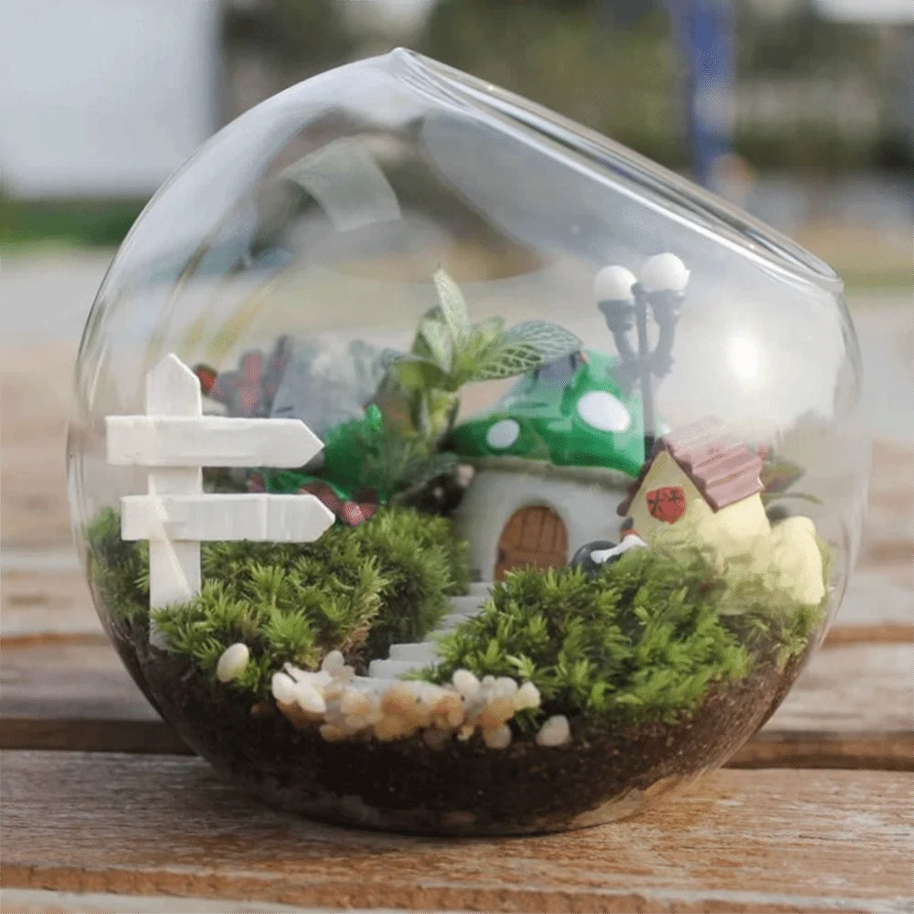 Clear glass ball succulent container on wooden windowsill