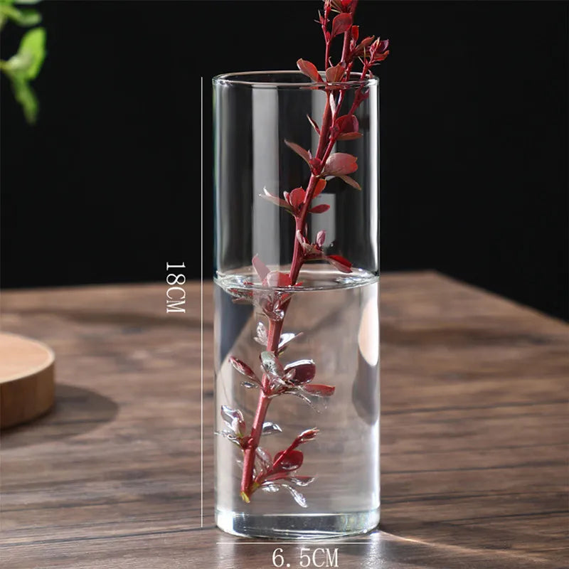 Small and large glass cylinder vases side by side comparison