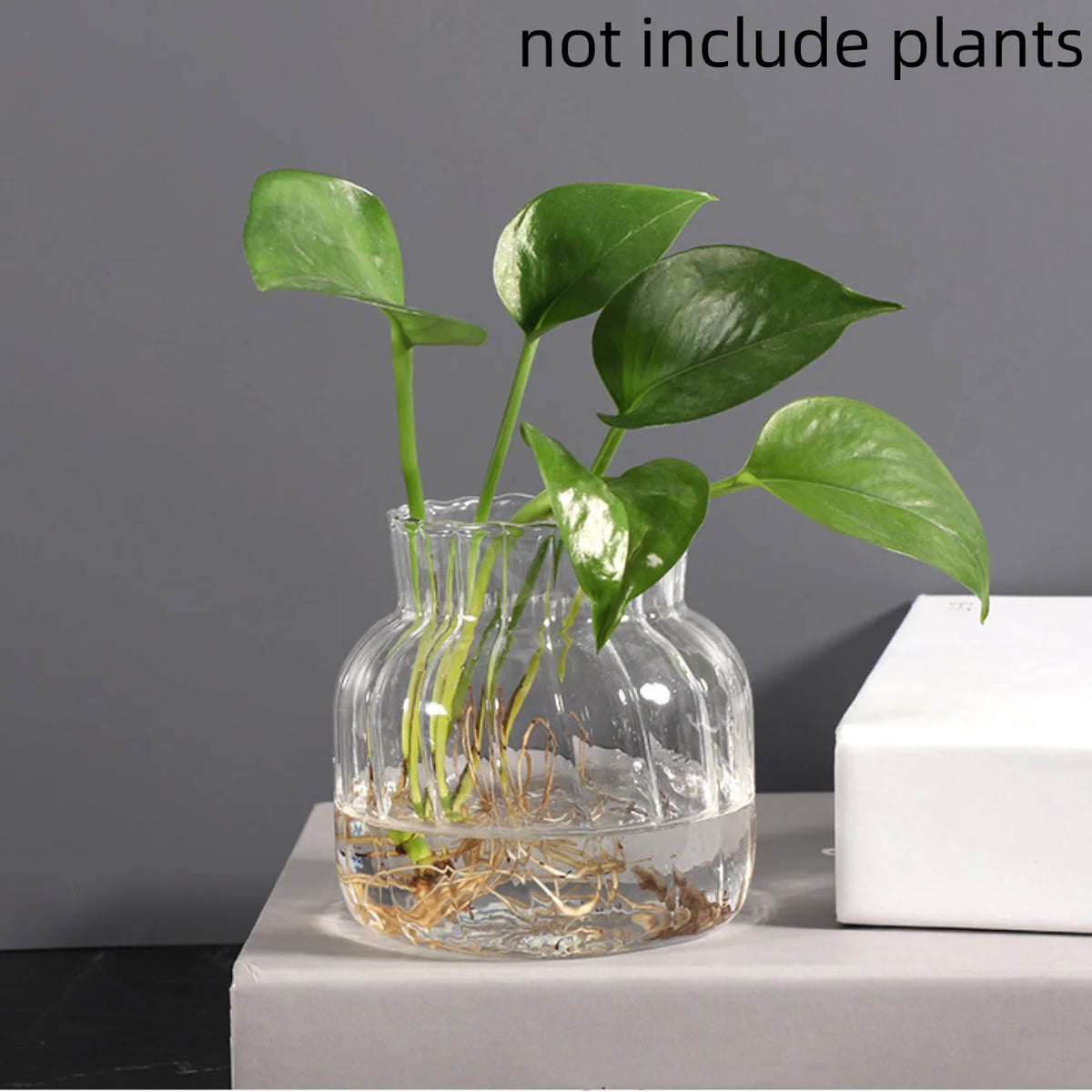 Four-piece set of striped mini glass vases styled on boho shelf
