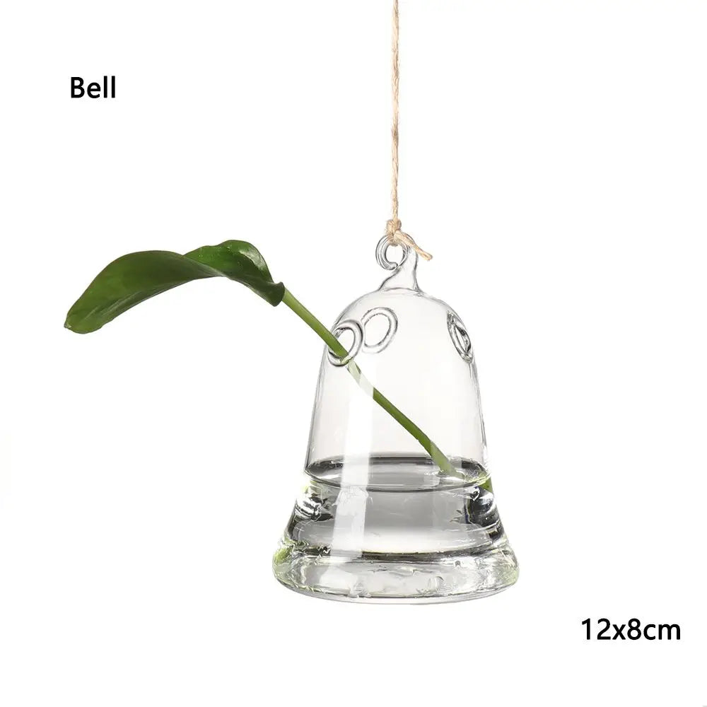Birds glass hanging vase with air plant for minimalist wall botanical display