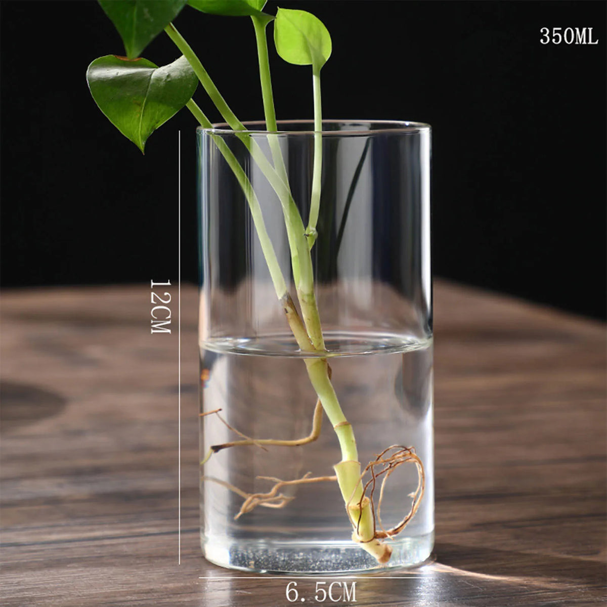 Multiple glass cylinder vases in various sizes arranged on wooden shelf