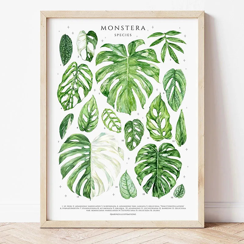 Green Botanical Houseplant Canvas Wall Art