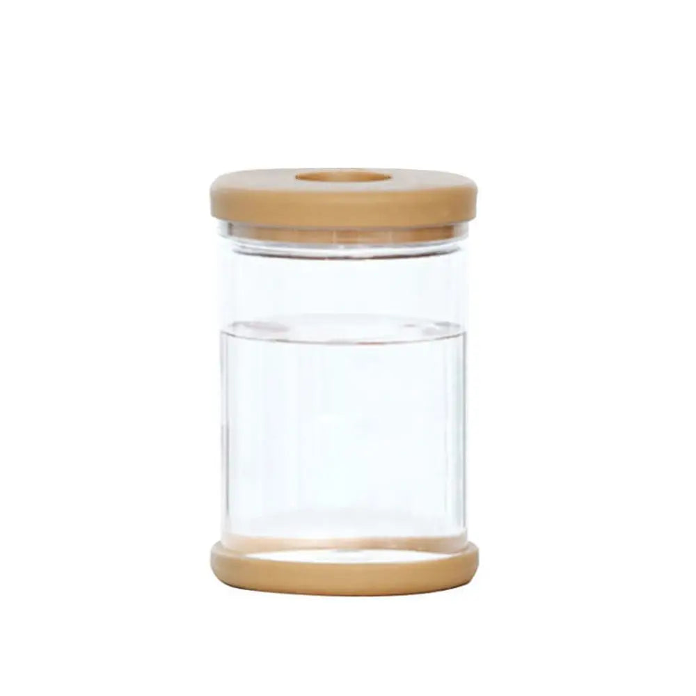 Clear plastic hydroponic flower vase with single stem on clean white background