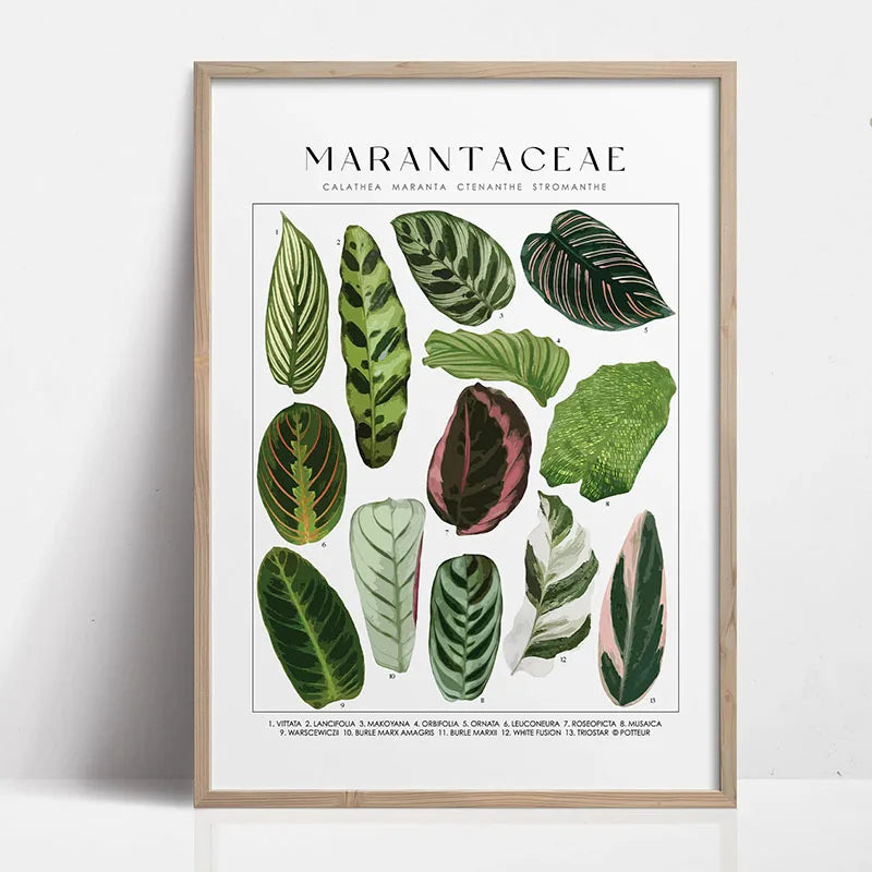 Green Botanical Houseplant Canvas Wall Art