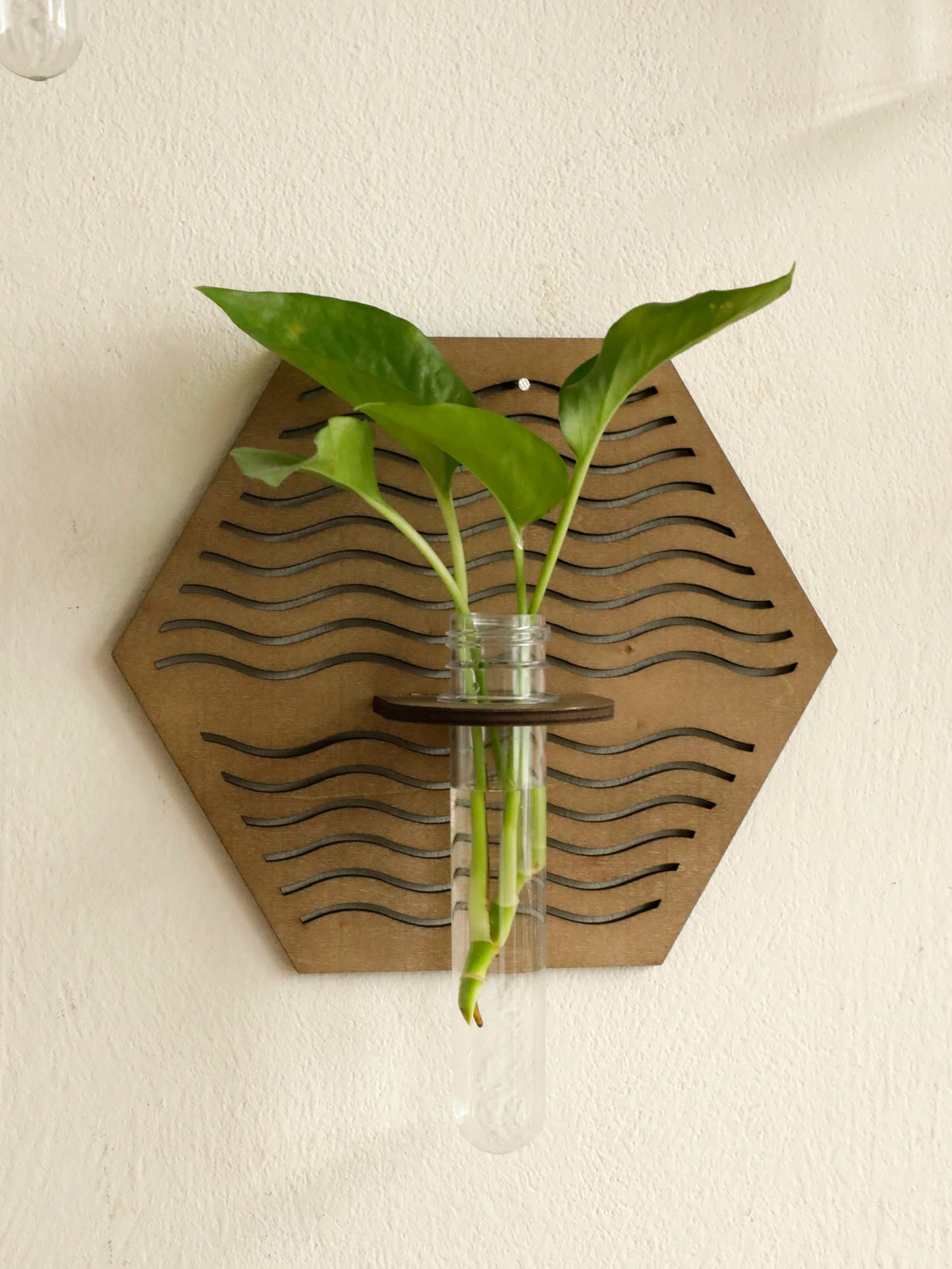 Boho wood wall vase tube plant holder for living room