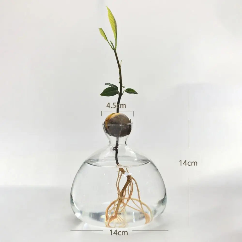 Close-up of decorative sticker design on avocado seed glass growing vase