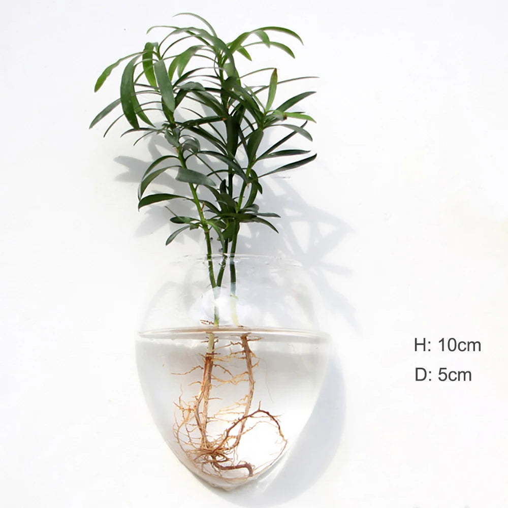 Wall Hanging Glass Terrarium Vase