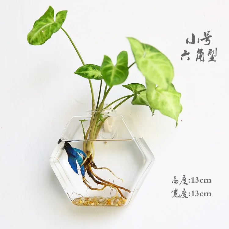 Wall Hanging Glass Terrarium Vase