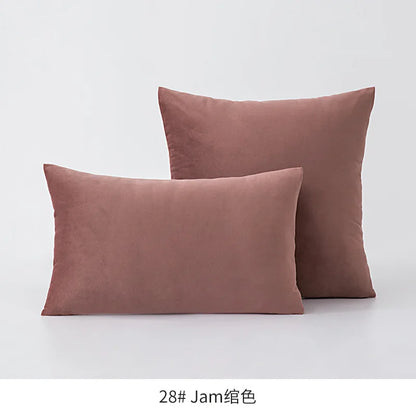 Plush Velvet Throw Pillow Cover