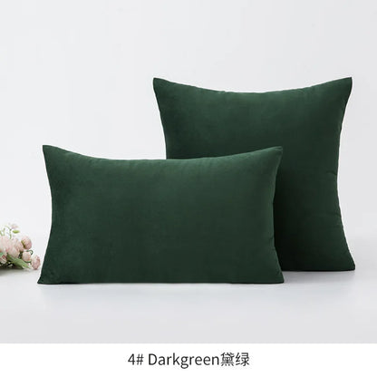 Plush Velvet Throw Pillow Cover