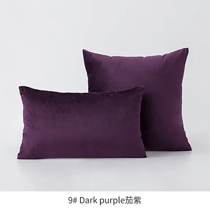 Plush Velvet Throw Pillow Cover