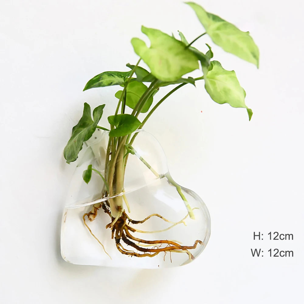 Wall Hanging Glass Terrarium Vase