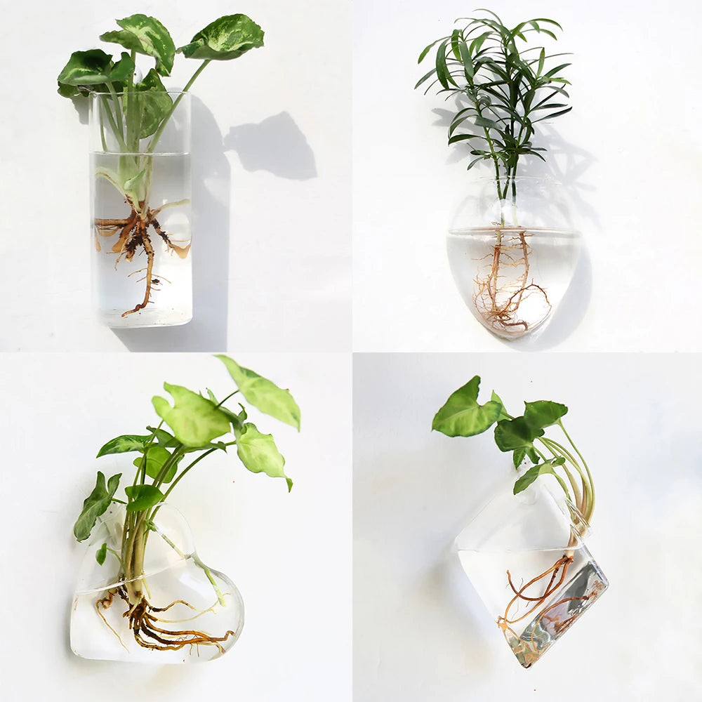 Geometric glass wall vase hydroponic plant container