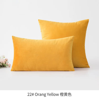 Plush Velvet Throw Pillow Cover