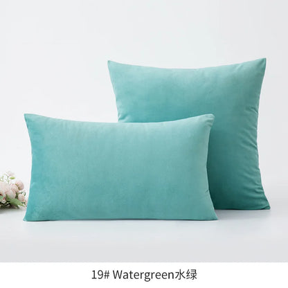 Plush Velvet Throw Pillow Cover