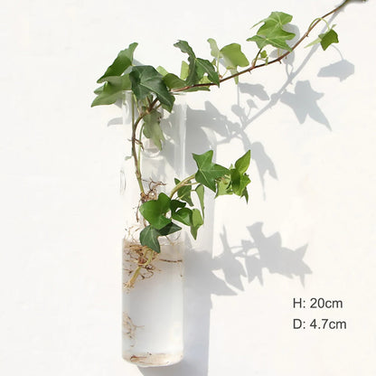 Wall Hanging Glass Terrarium Vase