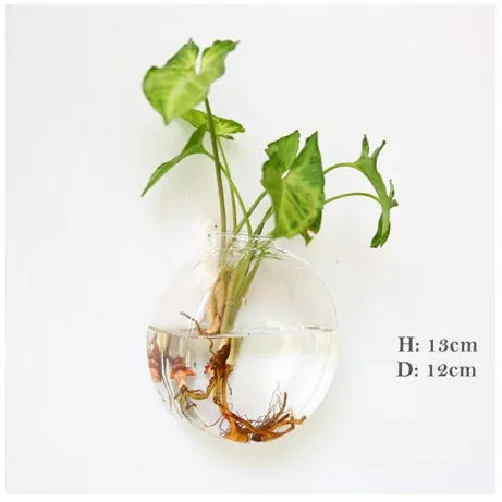 Glass terrarium vase with small succulent on garden wall