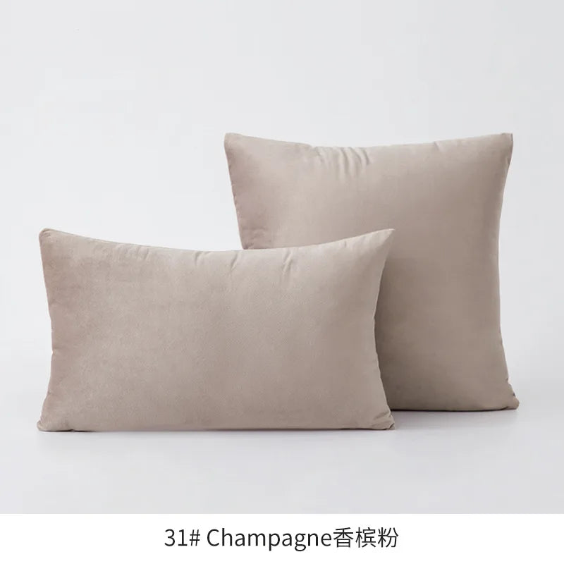 Plush Velvet Throw Pillow Cover