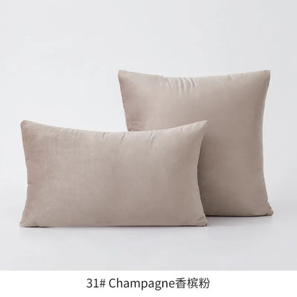 Plush Velvet Throw Pillow Cover