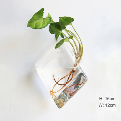 Wall Hanging Glass Terrarium Vase