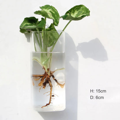 Wall Hanging Glass Terrarium Vase