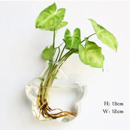 Wall Hanging Glass Terrarium Vase