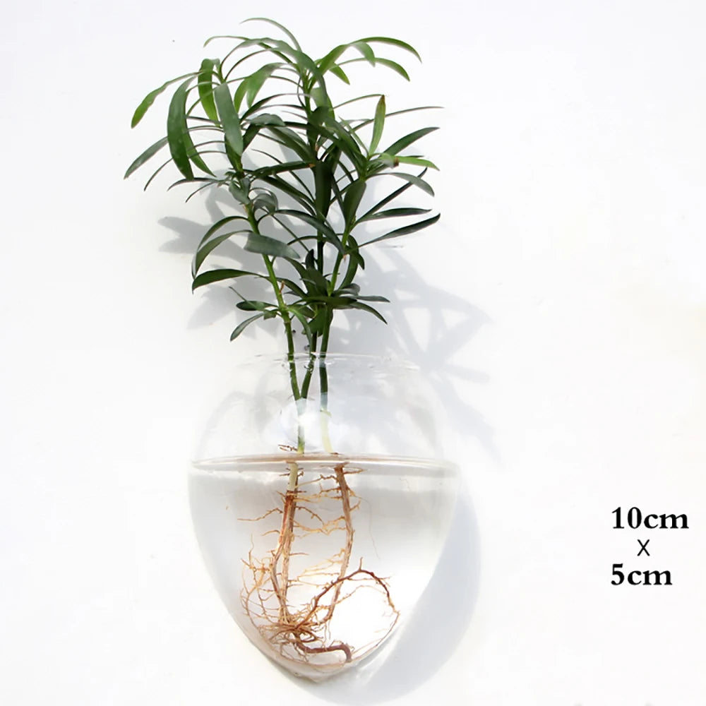 Wall hanging glass planter vase in botanical home interior