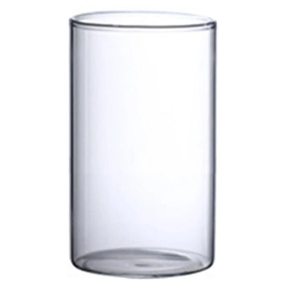 Glass cylinder vase in morning light showing green stem silhouette through clear glass