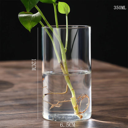 Tall glass cylinder vase with pothos cutting growing in water on desktop