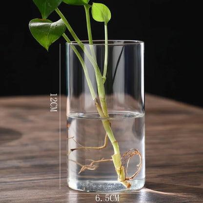 Clear Glass Cylinder Flower Vase